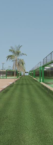 Pistes de padel avec palmiers, conseil ingénierie projet GB2A SPRINT